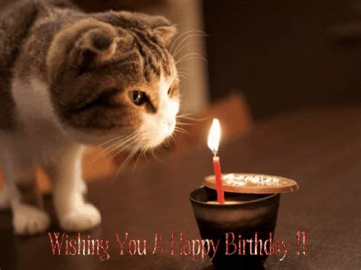 Cute Happy Birthday Gifs & Funny Bday Animated Pictures