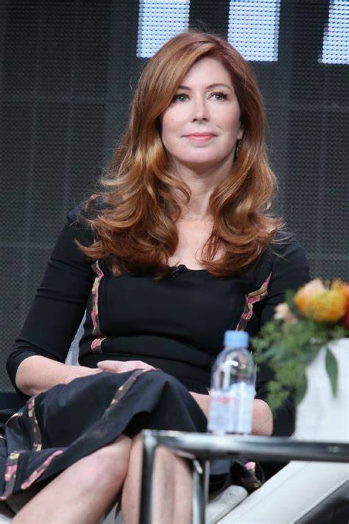 Dana Delany Talks About Her New Show 'The Code'
