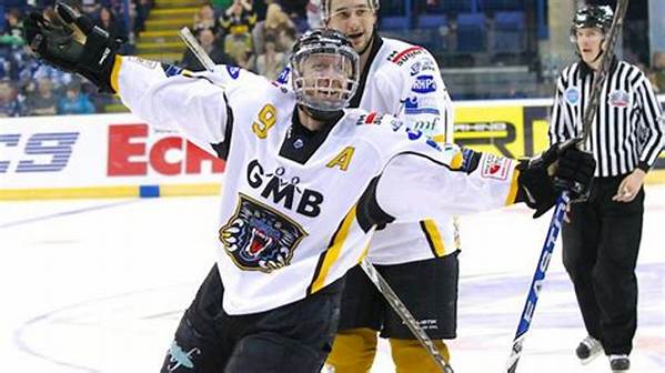 David Alexandre Beauregard Accident Led to Hockey Career End: Where Is He Now?