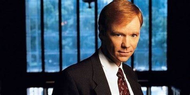 David Caruso Profile Images &mdash; The Movie Database (TMDB)