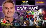 David Kaye