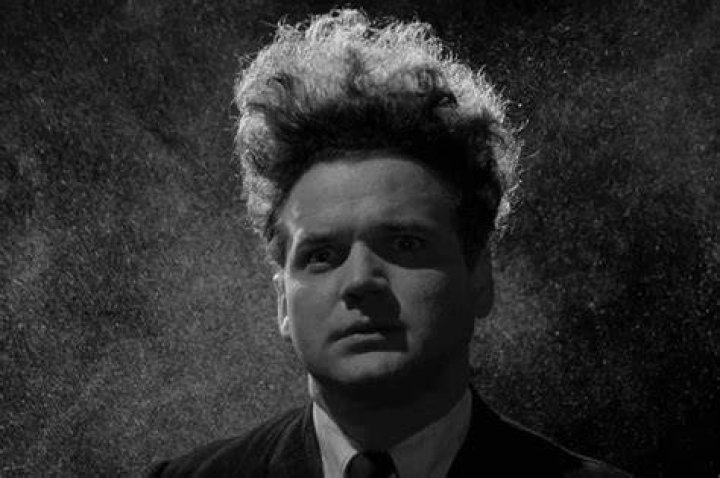 David Lynch's Husband The Man Behind The Curtain