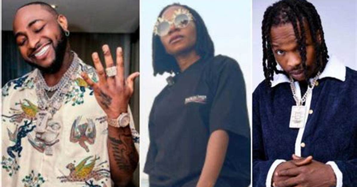 Davido, Naira Marley, Asa, 7 Other Nigerian Celebrities with Dual Citizenship and Their Other Countries