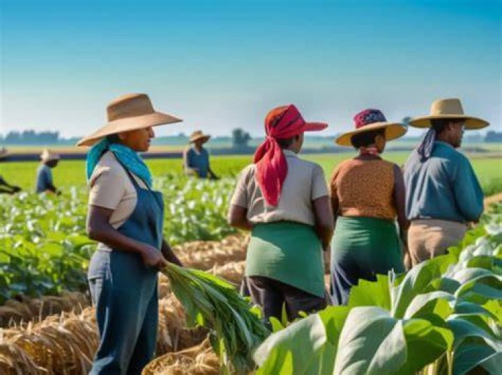 De trabajadores agr&iacute;colas a revelaci&oacute;n de la m&uacute;sica mexicana 60 Los