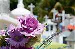 Death Cause and Family Mourns the Loss