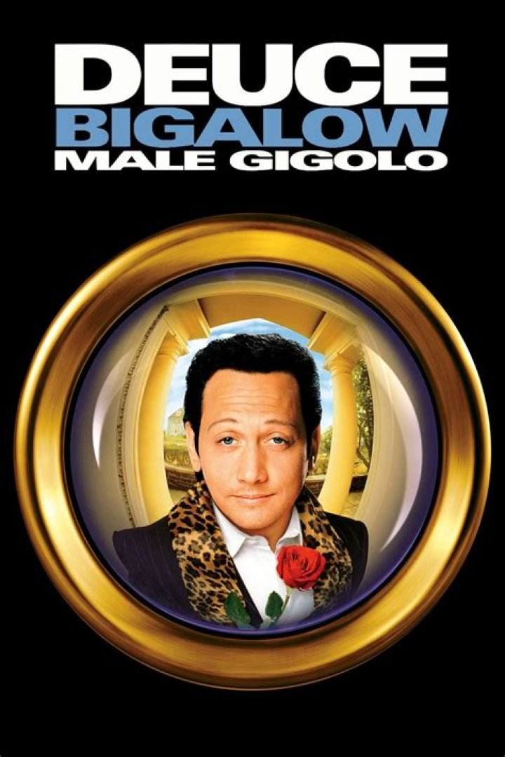 Deuce Bigalow Male Gigolo (1999) FilmFlow.tv