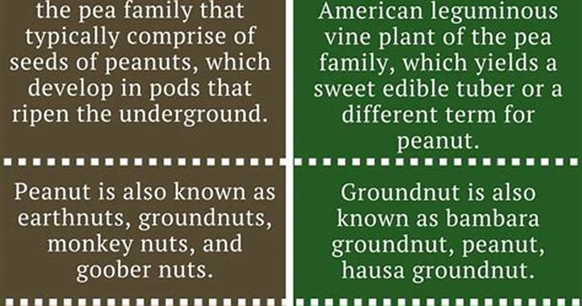Difference Between Peanut and Groundnut