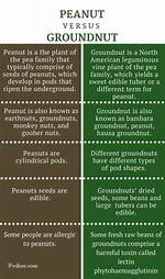 Difference Between Peanut and Groundnut