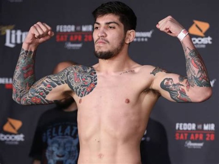 Dillon Danis on 'crazy' MMA life &mdash; and that 'fun' brawl last fall