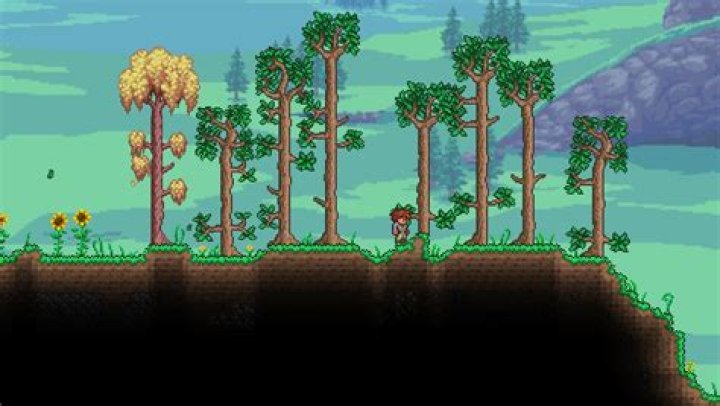 Discuss Everything About Terraria Wiki Fandom