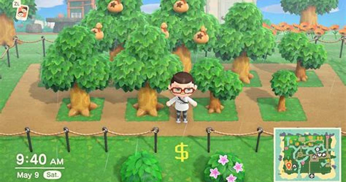 Do Money Trees Grow Back on 'Acnh'? Here's the Deal with Money Trees