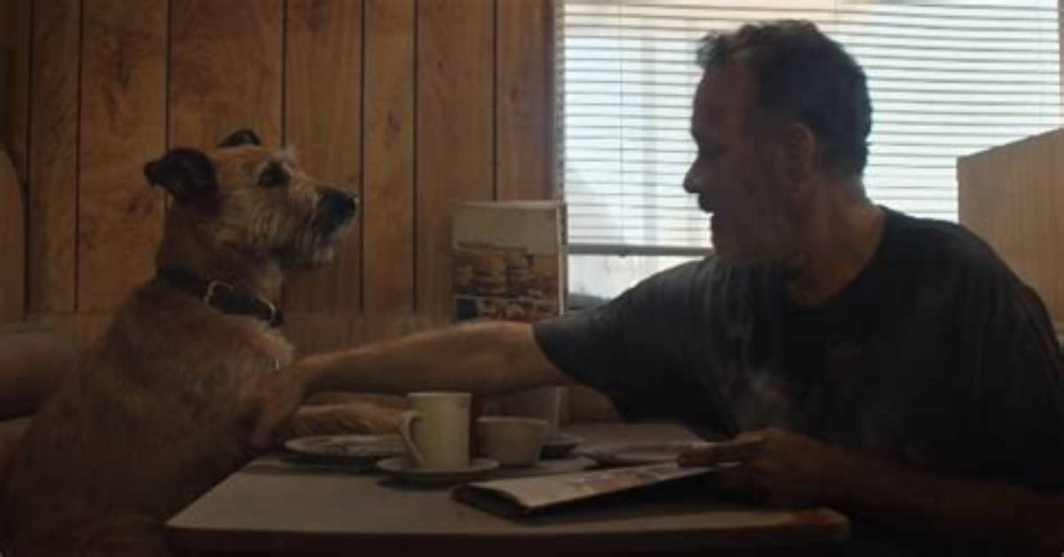 Does ‘Finch’ Pull an ‘I Am Legend’ with Its Lovable Dog Lead Character?