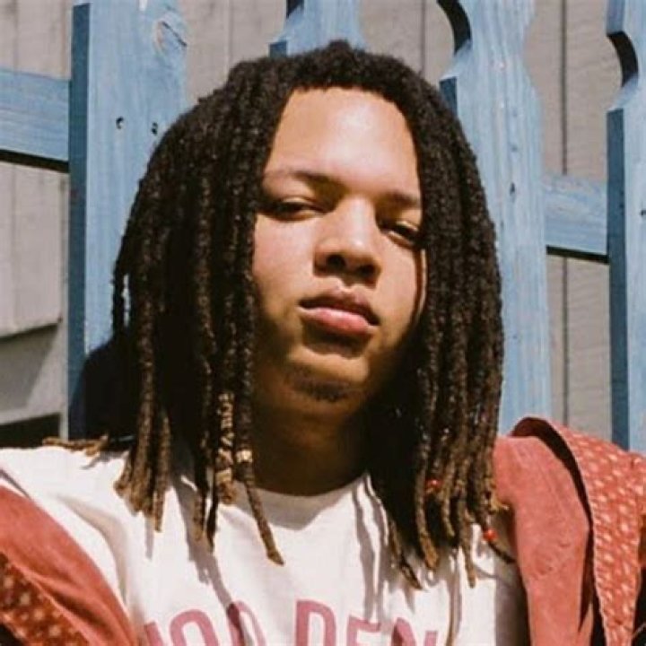Domani Harris Biography Facts, Childhood, Family Life & Achievements