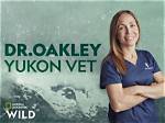 Dr Oakley Yukon Vet Controversy and Scandal: Divorce Settlement