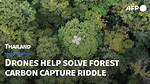 Drones Help Solve Forest Carbon Capture Riddle