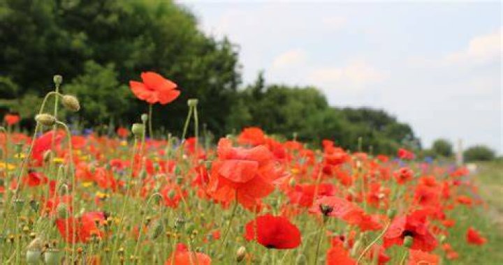 Eden Newsletter Bildergallerie
