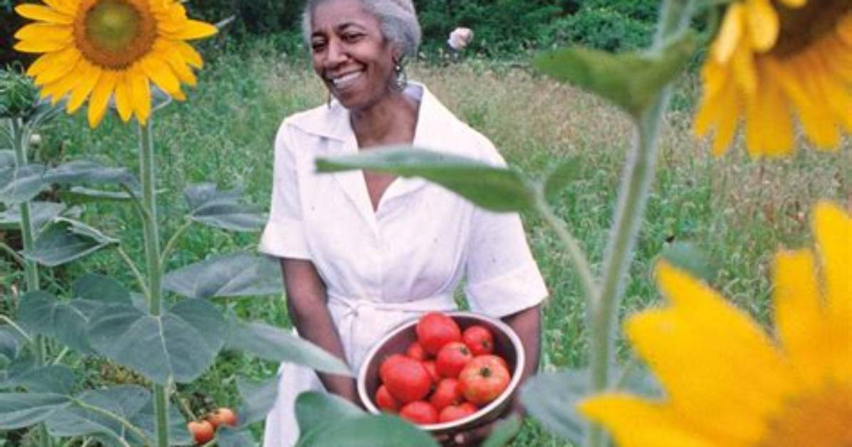 Edna Lewis