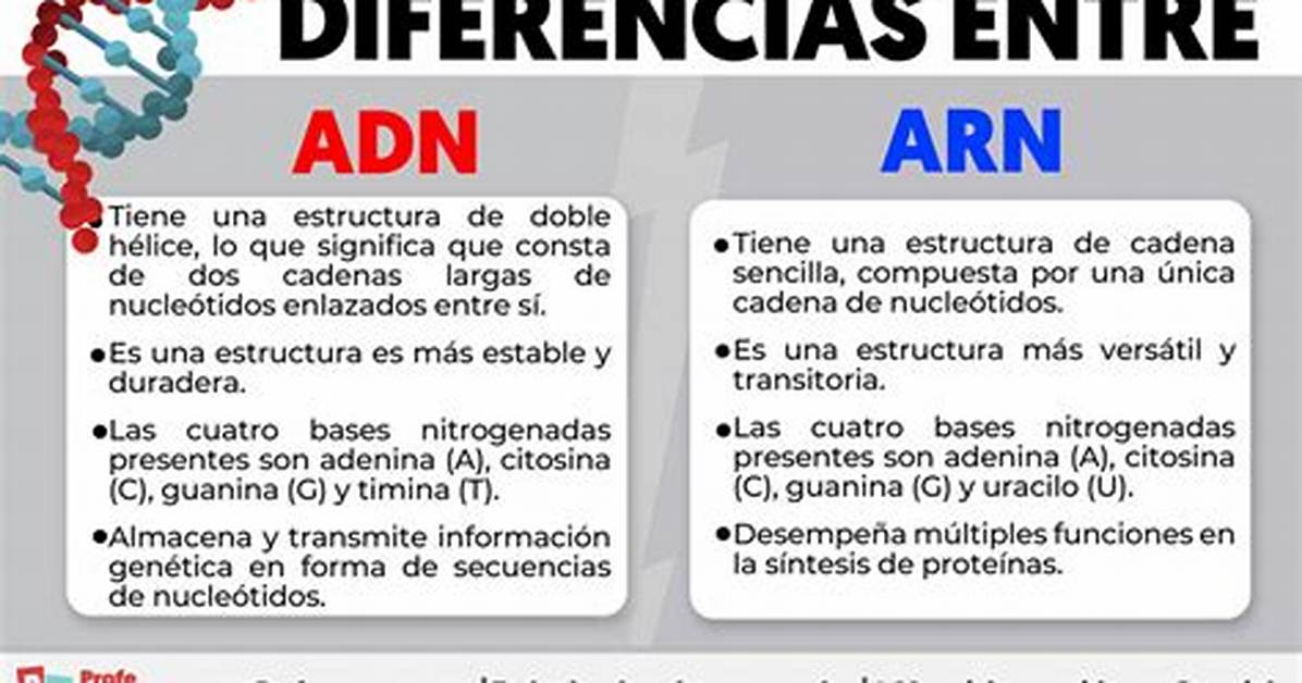 Eduardo Barqu%C3%Adn 1200. Jpg