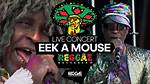 Eek-a-Mouse