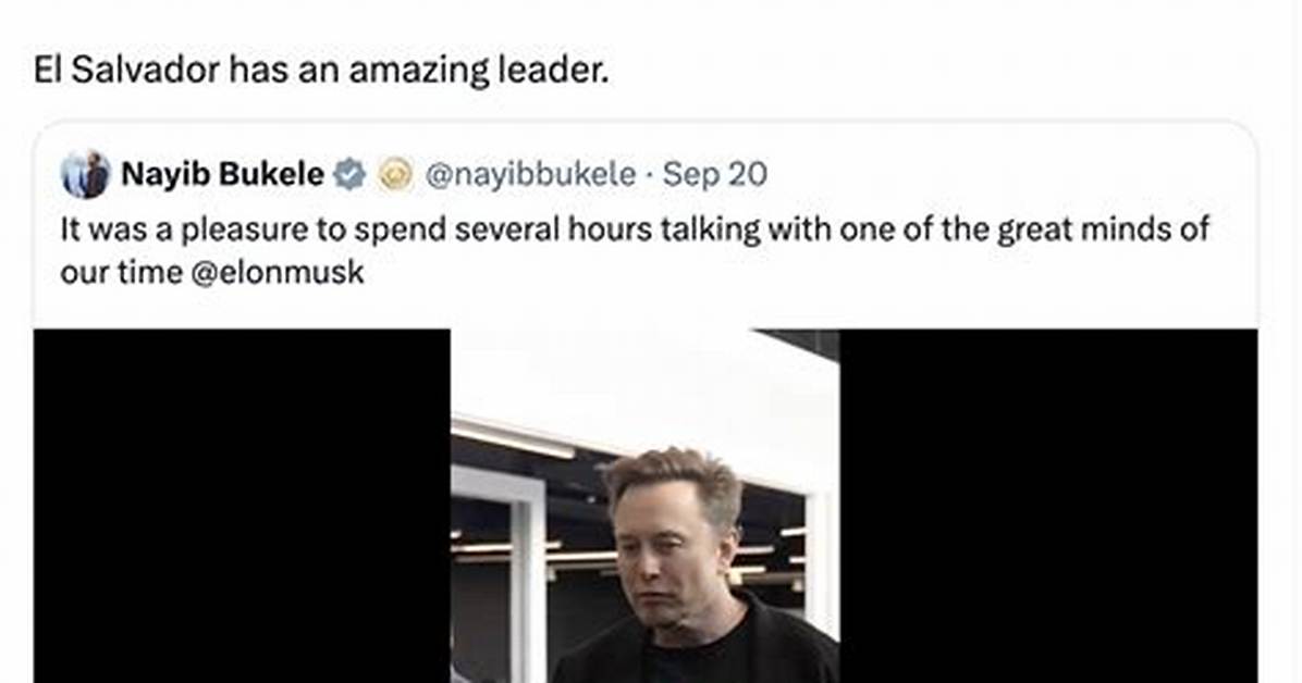 Elon Musk Roasted for Using Someone Else's 3-Year-Old Photo of an Ice Cream Sundae