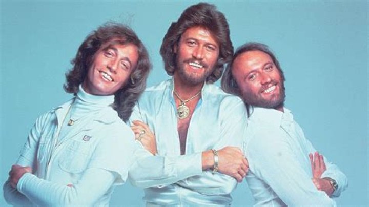 Fact Check Bee Gees' Grandchildren Showcase Talents in Adorable