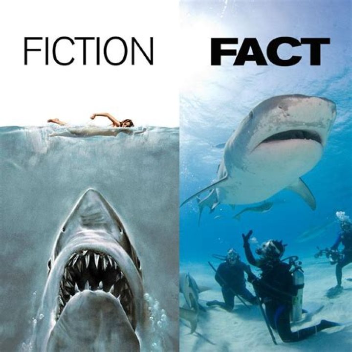 Fact vs. Fiction Paul Walker&rsquo;s Daughter