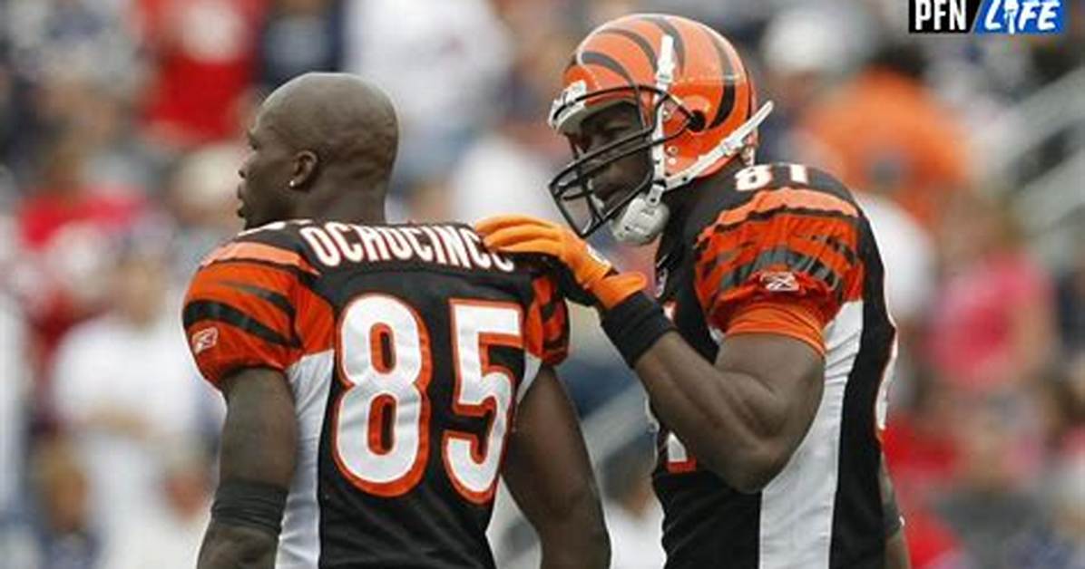 Fans Are Hopeful That Chad Ochocinco Johnson Will Make Various Appearances on 'Selling Tampa'