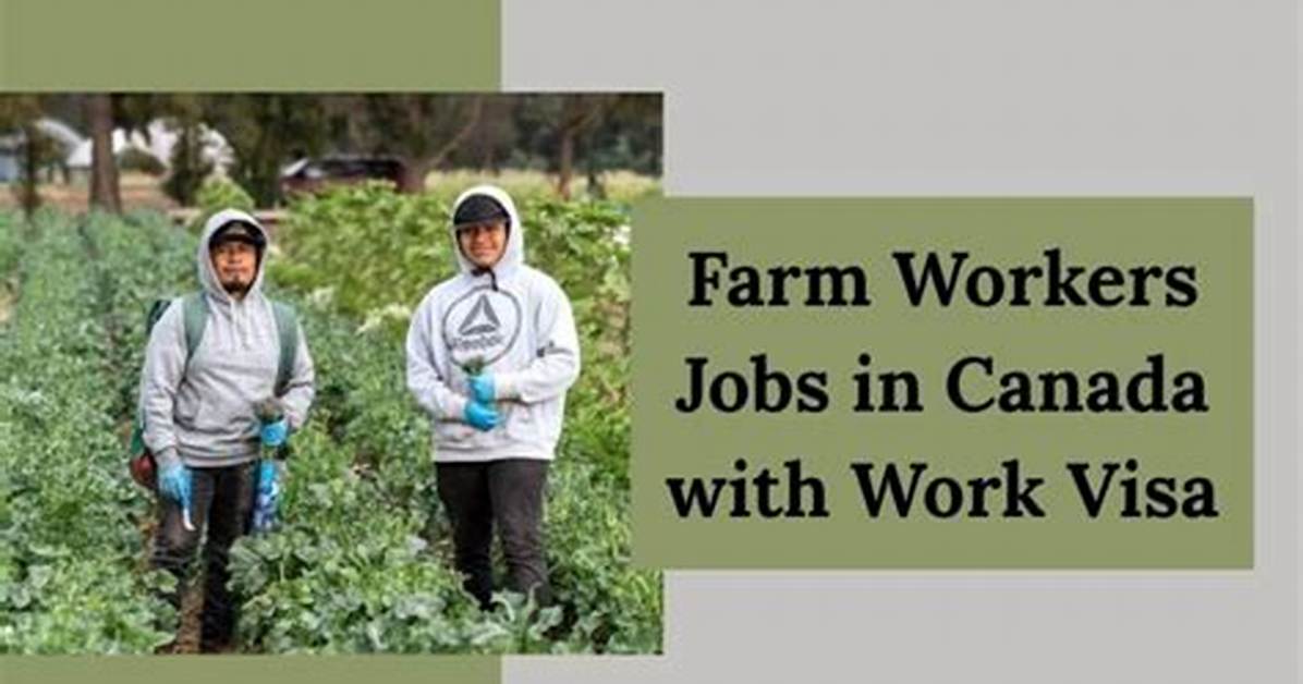 “Farm Work with Free Visa in Canada”: Lady Shares Job That Allows Nigerians to Relocate