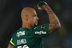Felipe Melo Net Worth