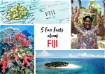Fiji Blue's Biography and Facts'