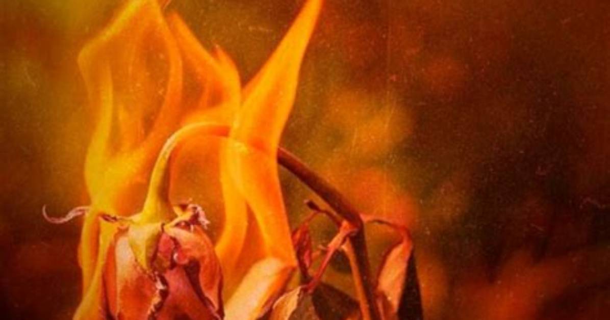 Fires & Desires