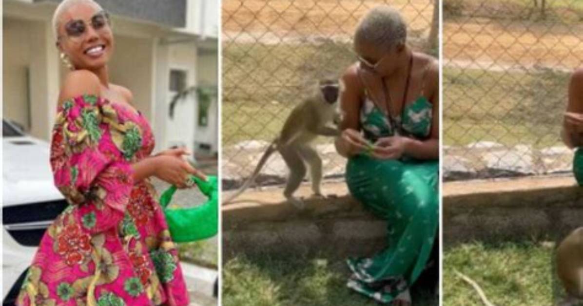 ‘Flirtatious’ Monkey Tries Hard to Get Under Nancy Isime’s Dress, Sparks Funny Reactions as Video Goes Viral