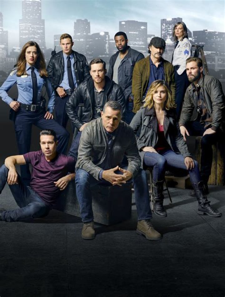 Fotos do elenco de &lsquo;Chicago P.D.&rsquo;, terceira temporada VEJA