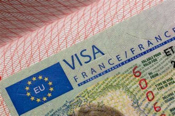 France Visa Check 2024 How to Check Your France Visa Status Online