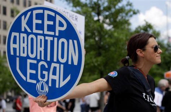 &lsquo;Free Abortions Do Not Help Women&rsquo; Former Director Reacts to What