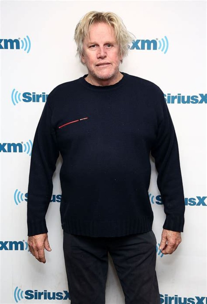 Gary Busey Charged With Four Counts of Sexual Contact and Harassment