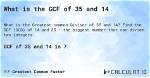 Gcf of 14 and 14
