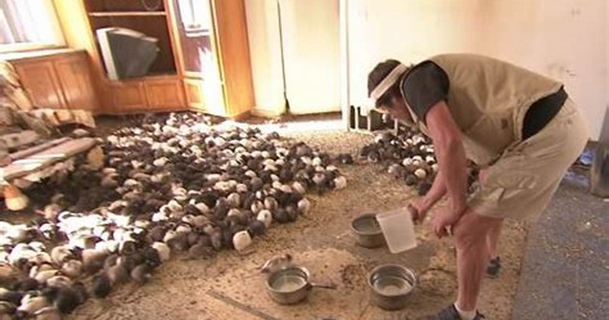 Glen from 'Hoarders' Was Murdered, and the Story Is Seriously Shocking