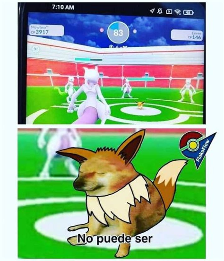 GoSnapshot on Tumblr