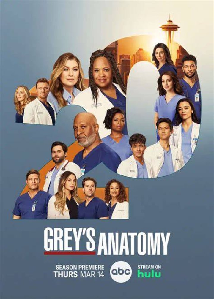 Grey&rsquo;s Anatomy Season 20&rsquo;s New Doctor Teases A Hot New Romance Daily News