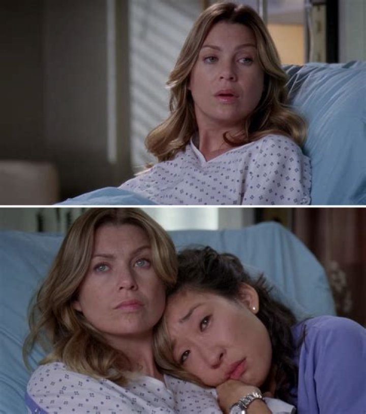 Greys Anatomy Meredith Pregnant Season 9