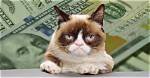 Grumpy Cat Net Worth