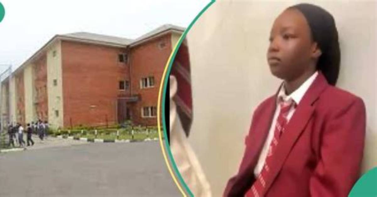 “Happens Every Day”: Students of Abuja British School Confirm Bullying Is Common in Trending Video