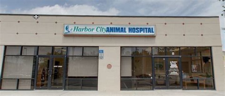 Harbor City Animal Hospital Melbourne , FL Veterinarian