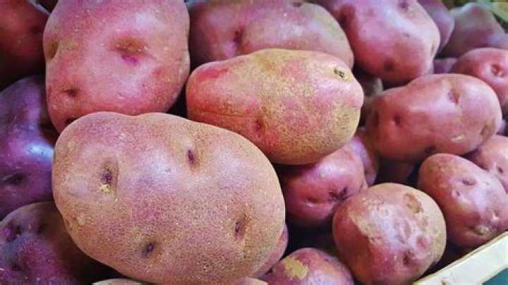 Healthiest Potatoes 4 Varieties Ranked by Nutrient Density Hydration