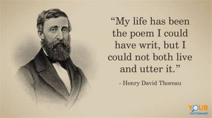 Henry David Thoreau Quote &ldquo;I went to the woods because I wished to