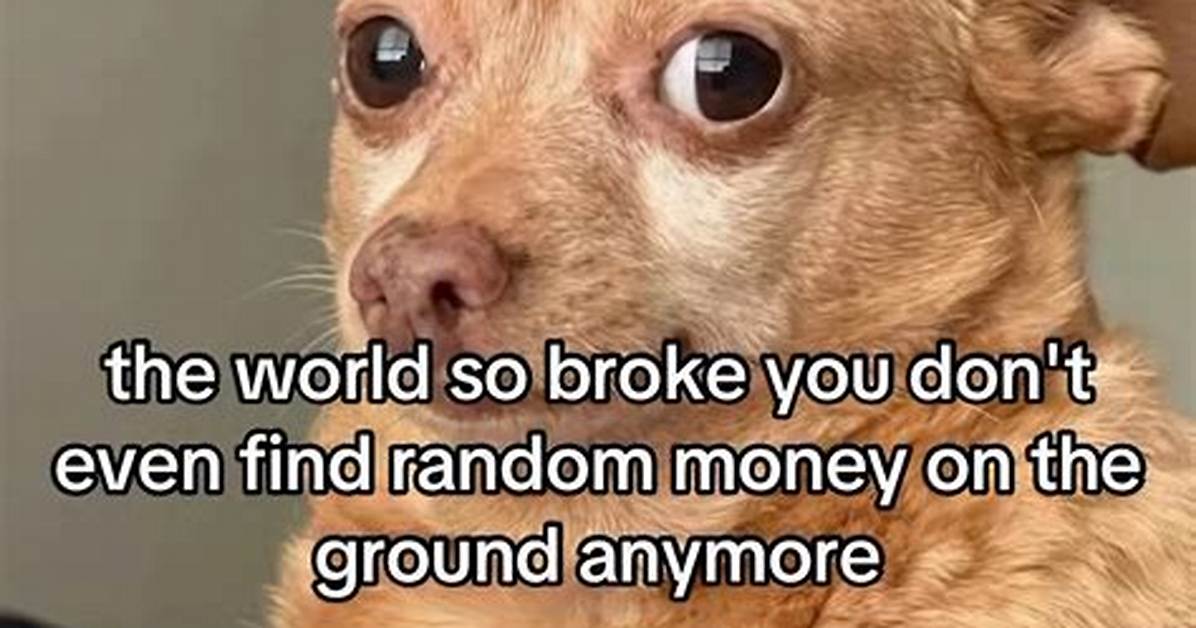 Here Are the Funniest and Realest Memes About Chris Brown's $1,000 Meet-and-Greet Tickets