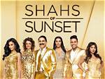 Here's How 'Shahs of Sunset's Shervin Roohparvar Made His Millions