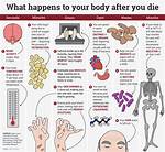 Here’s What Happens If You Die While on Your Period