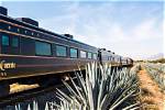 Hop Aboard the Jose Cuervo Tequila Train for Día De Los Muertos